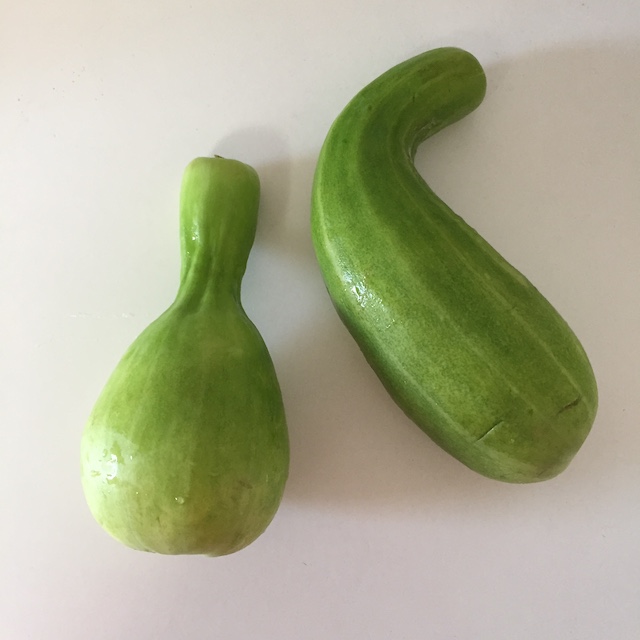 6月24日 ウリとカボチャとひょうたんの関係 By 丸黄うりほ 花形文化通信