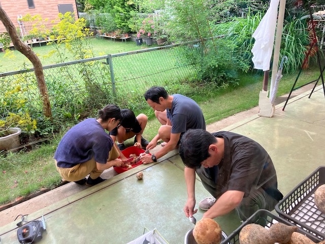 【現品限り】自作木製バラフォン Amazon | ゼンオン シロフォン 32音 F45~C76 バチ付き ZX-32BK